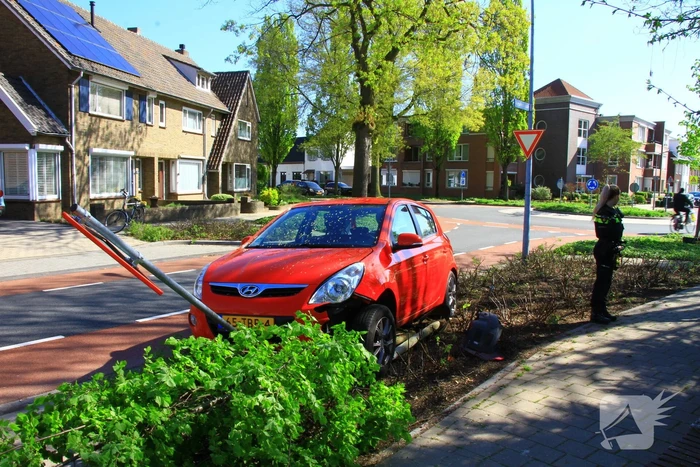 Automobilist ramt boom en verkeersbord