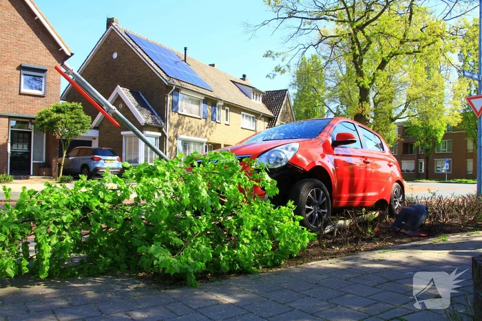 Automobilist ramt boom en verkeersbord