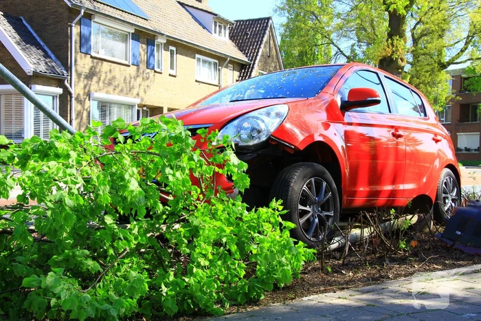 Automobilist ramt boom en verkeersbord