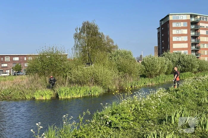 Brandweer vangt kalkoen