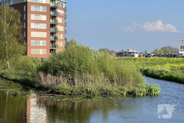 Brandweer vangt kalkoen
