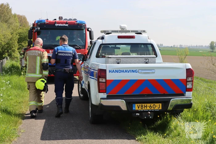 Lammetjes gedood door hond