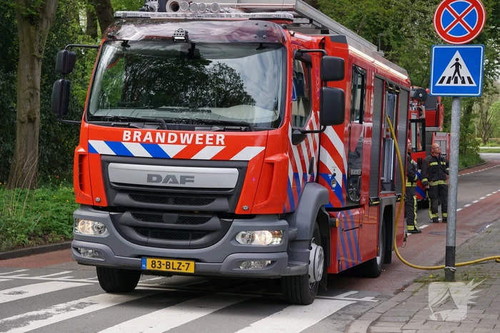 Brand in flatwoning