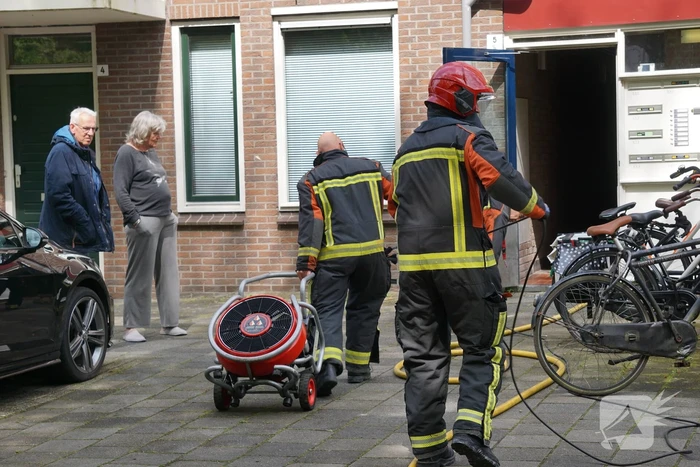 Brand in flatwoning