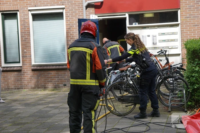 Brand in flatwoning