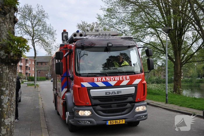 Auto ramt stroomkast belandt in bosjes