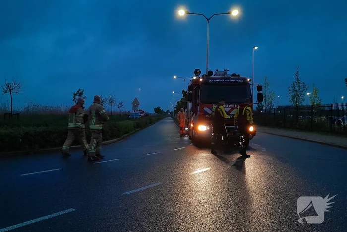 Lammetje raakt te water