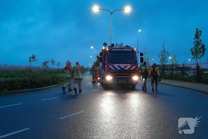 Lammetje raakt te water