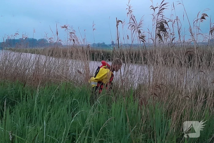Lammetje raakt te water