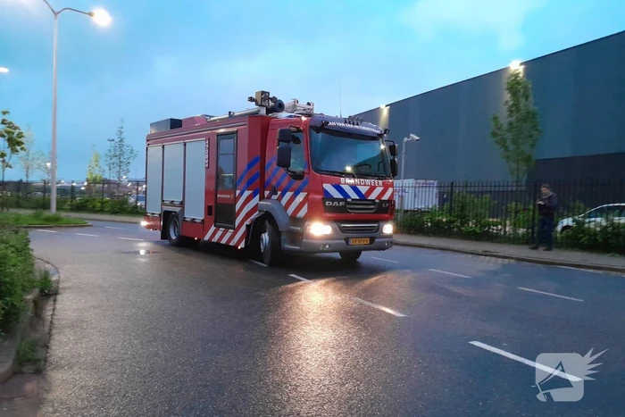 Lammetje raakt te water