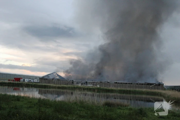 Grote rookwolken bij zeer grote industriebrand