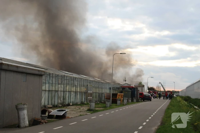 Grote rookwolken bij zeer grote industriebrand