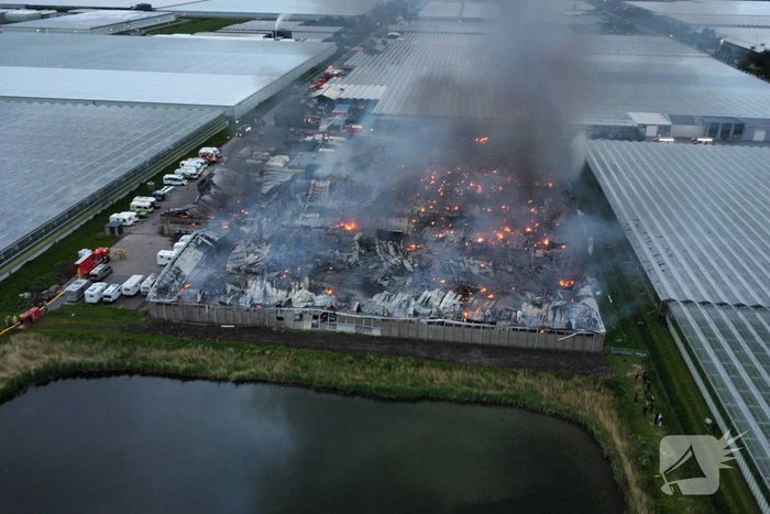 Grote rookwolken bij zeer grote industriebrand