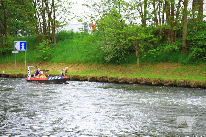 Gestrande Bambi gevangen in de sluispoort