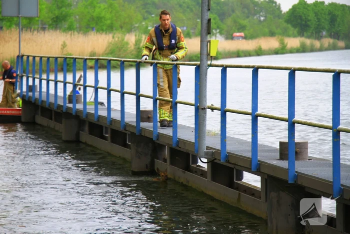 Gestrande Bambi gevangen in de sluispoort