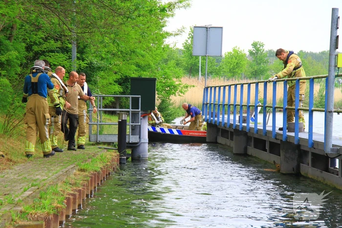 Gestrande Bambi gevangen in de sluispoort
