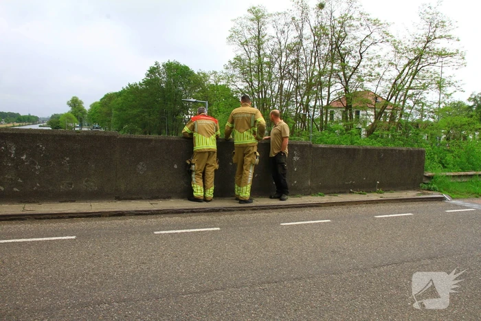 Gestrande Bambi gevangen in de sluispoort