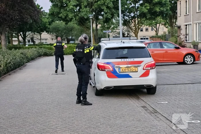 Geparkeerde auto verwoest door brand