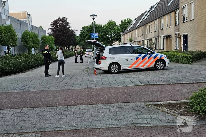 Geparkeerde auto verwoest door brand
