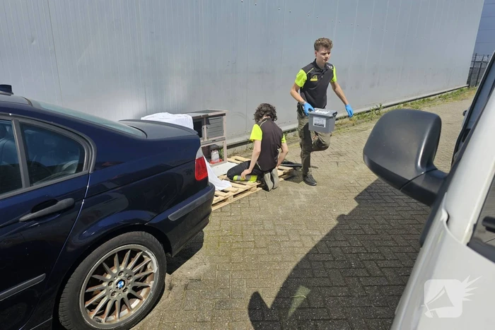 Duiven gedumpt in konijnen hok