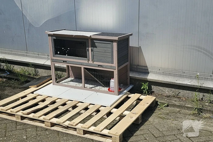 Duiven gedumpt in konijnen hok