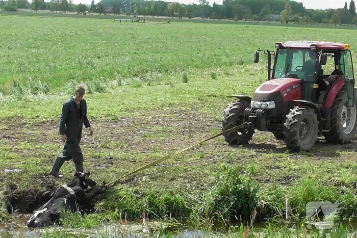 nieuws achterkade alblasserdam