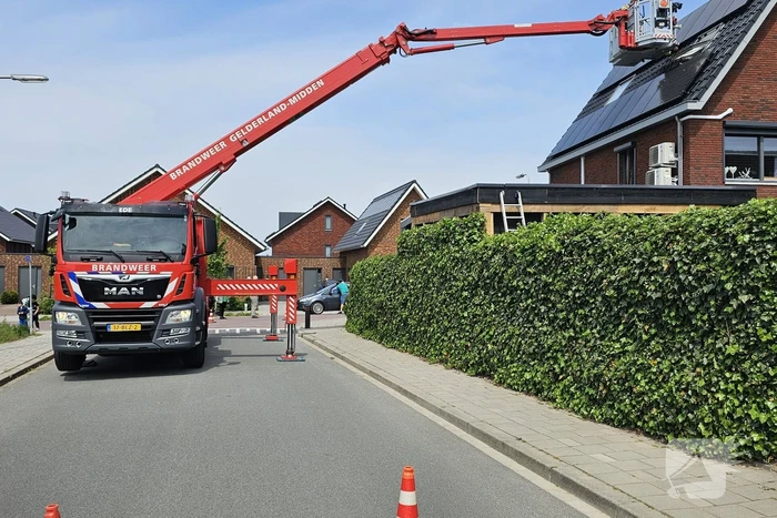 Duif vast onder zonnepanelen