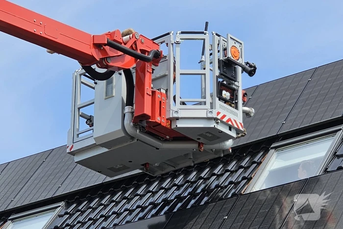 Duif vast onder zonnepanelen