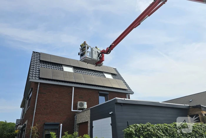 Duif vast onder zonnepanelen