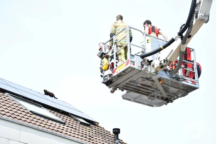 Brandweer redt kat Maruow van dak
