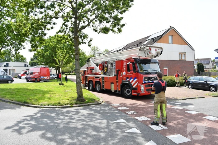 Brandweer redt kat Maruow van dak