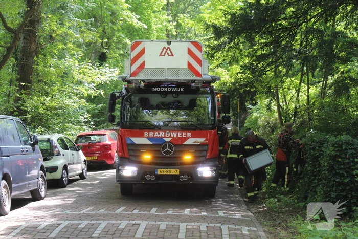 Brandweer verwijdert gevaarlijk hangende tak