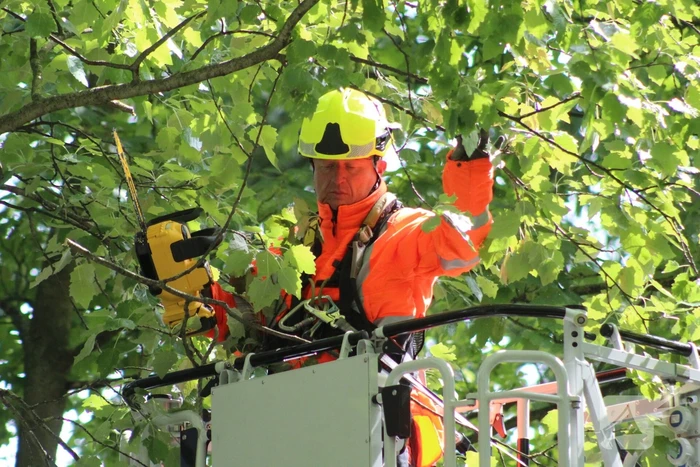 Brandweer verwijdert gevaarlijk hangende tak