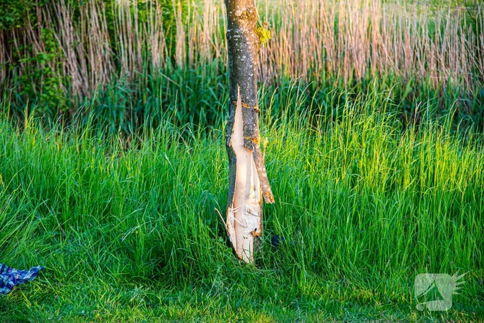 Scooterrijder ernstig gewond na frontale botsing tegen boom
