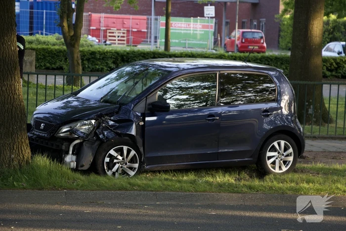 Auto raakt van weg en ramt boom