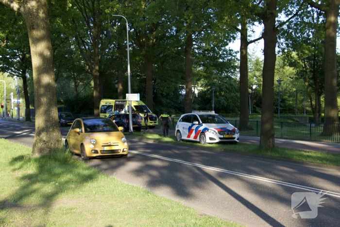 Auto raakt van weg en ramt boom