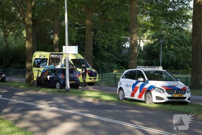 Auto raakt van weg en ramt boom