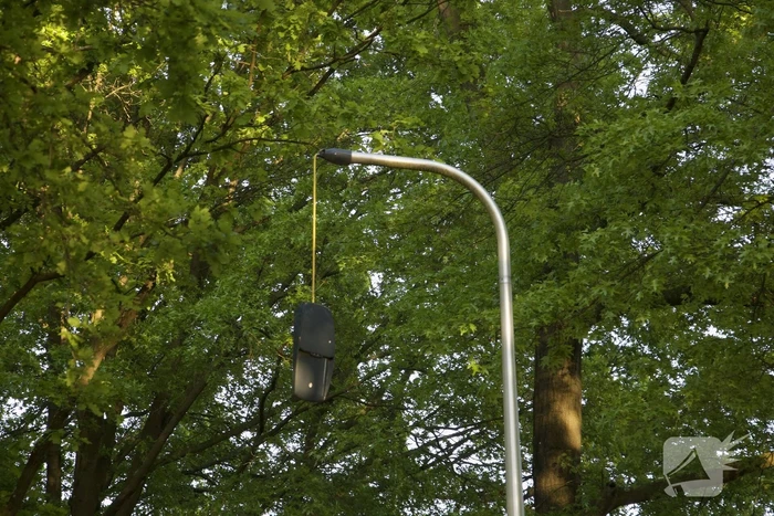 Auto raakt van weg en ramt boom