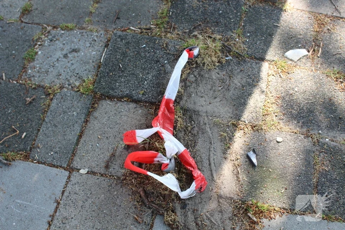 Eenzijdig ongeval met boom