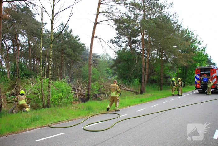 Brand verwoest berm langs de weg