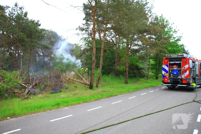 Brand verwoest berm langs de weg