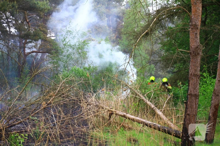 Brand verwoest berm langs de weg