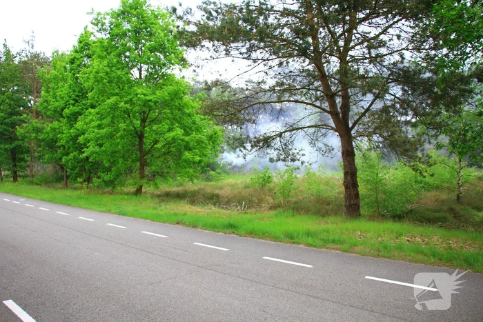 Brand verwoest berm langs de weg
