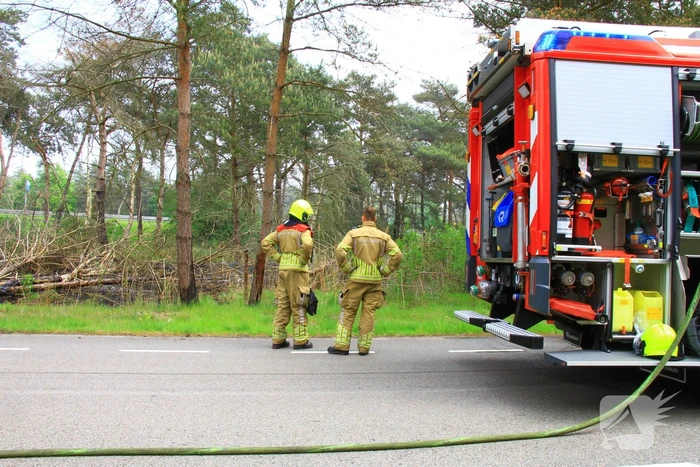 Brand verwoest berm langs de weg