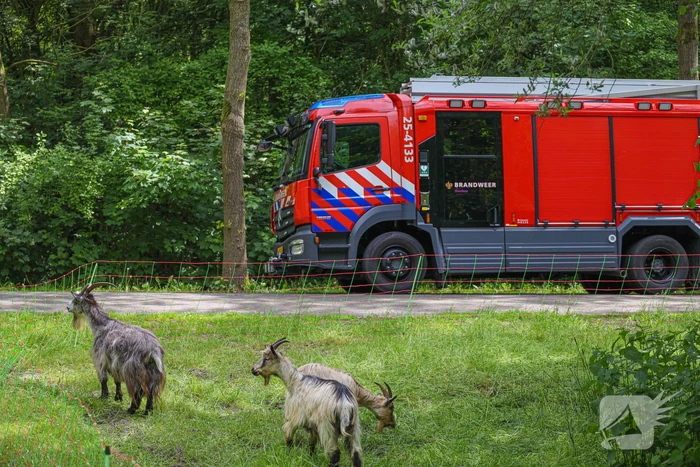 nieuws leeuwerikweg almere