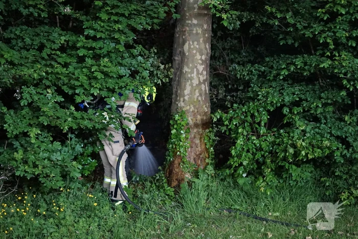 Kleine brand in groen langs weg