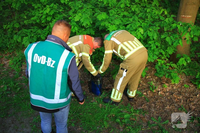 Rugspuit lekt oplossingsmiddel in natuur