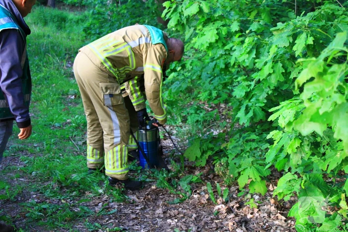 Rugspuit lekt oplossingsmiddel in natuur