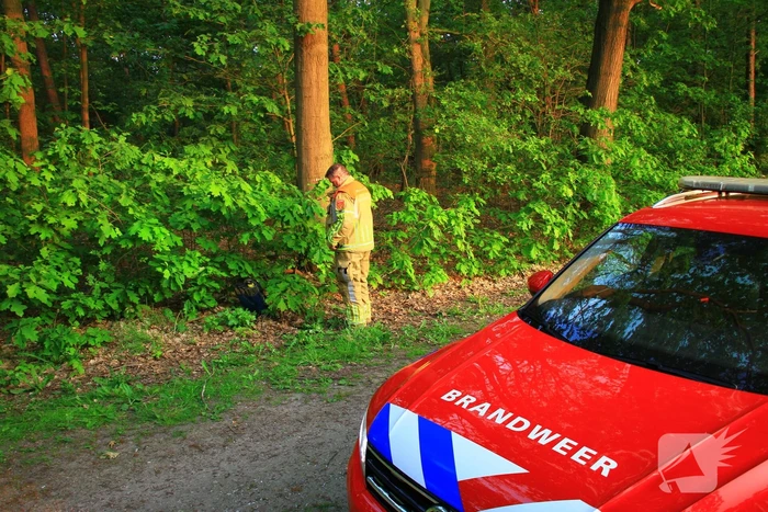 Rugspuit lekt oplossingsmiddel in natuur