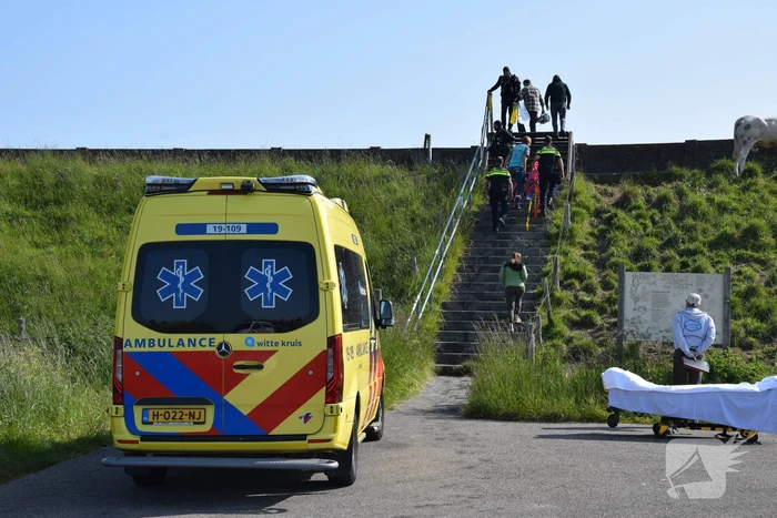 Duiker gewond bij waterongeval